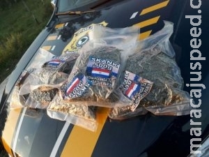 PRF apreende 539 kg de maconha em carro que capotou na BR-267