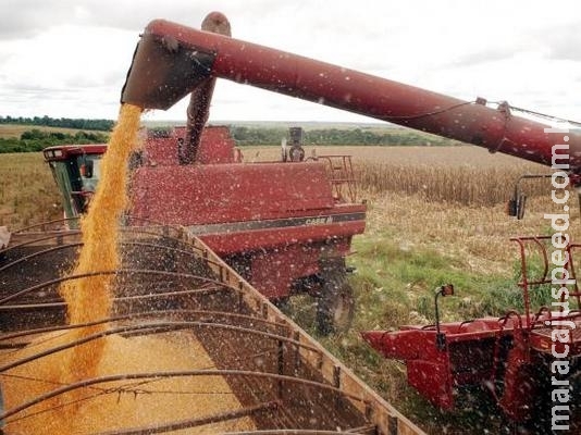 Produtividade agropecuária do Brasil é uma das que mais crescem, diz estudo