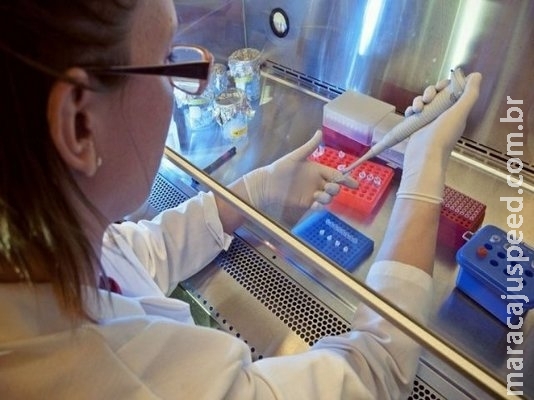 SUS vai receber 3,9 milhões de frascos da alfaepoetina SUS vai receber 3,9 milhões de frascos da alfaepoetina