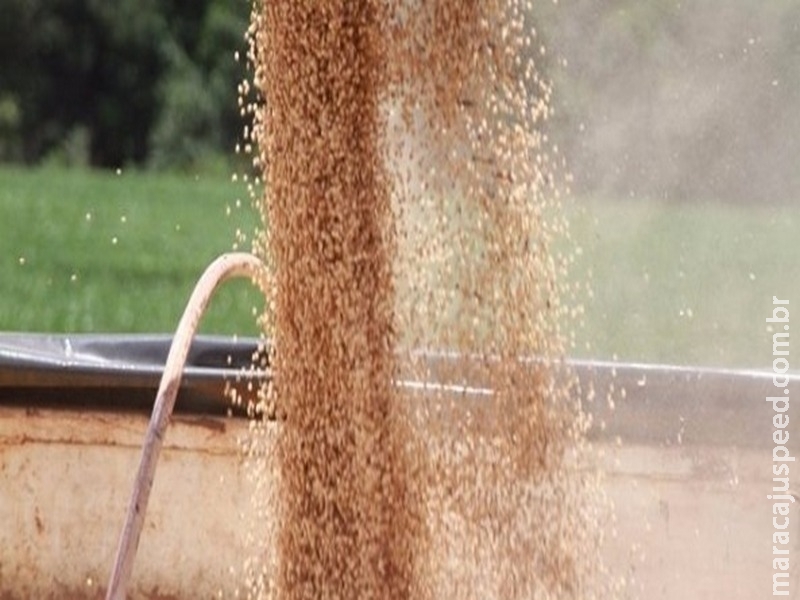 Valor da produção agropecuária de 2017 é 4,4% maior que no ano passado