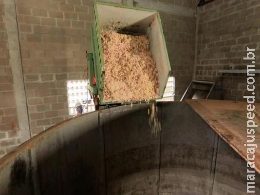 Biometano ganha força como alternativa ao combustível fóssil Biometano ganha força como alternativa ao combustível fóssil