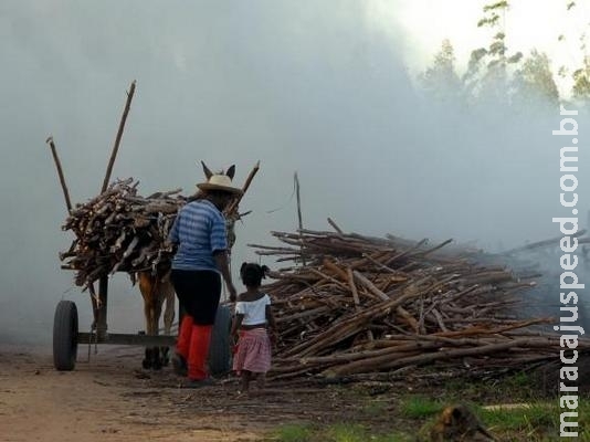 Brasil registra aumento de trabalho infantil entre crianças de 5 a 9 anos Brasil registra aumento de trabalho infantil entre crianças de 5 a 9 anos