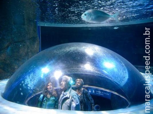 Campanha da ONU quer reduzir descarte de plásticos em rios e mares do Brasil Campanha da ONU quer reduzir descarte de plásticos em rios e mares do Brasil