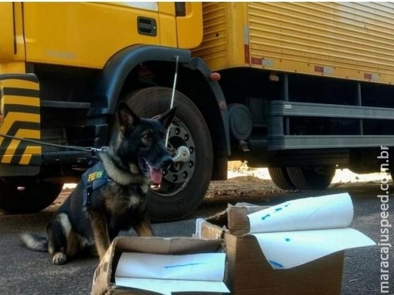 Cresce em 71% uso dos Correios em MS para tráfico e contrabando