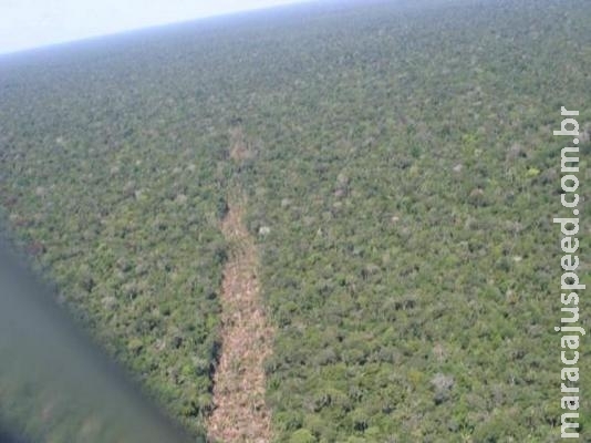 Entidades pedem veto de MPs que reduzem áreas protegidas na Amazônia Entidades pedem veto de MPs que reduzem áreas protegidas na Amazônia