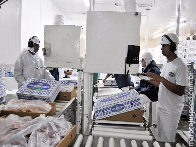 Exportação de industrializados de MS tem alta de 6% e chega a US$ 1,14 bilhão Exportação de industrializados de MS tem alta de 6% e chega a US$ 1,14 bilhão