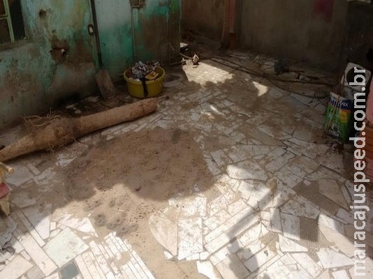 Homem é preso por matar e enterrar inquilino no quintal de casa
