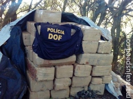 Irmão de prefeito integra quadrilha presa com 2.500 quilos de maconha