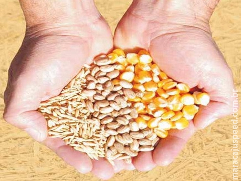 Listas de plantas exóticas vão agregar segurança científica à legislação de acesso à biodiversidade Listas de plantas exóticas vão agregar segurança científica à legislação de acesso à biodiversidade