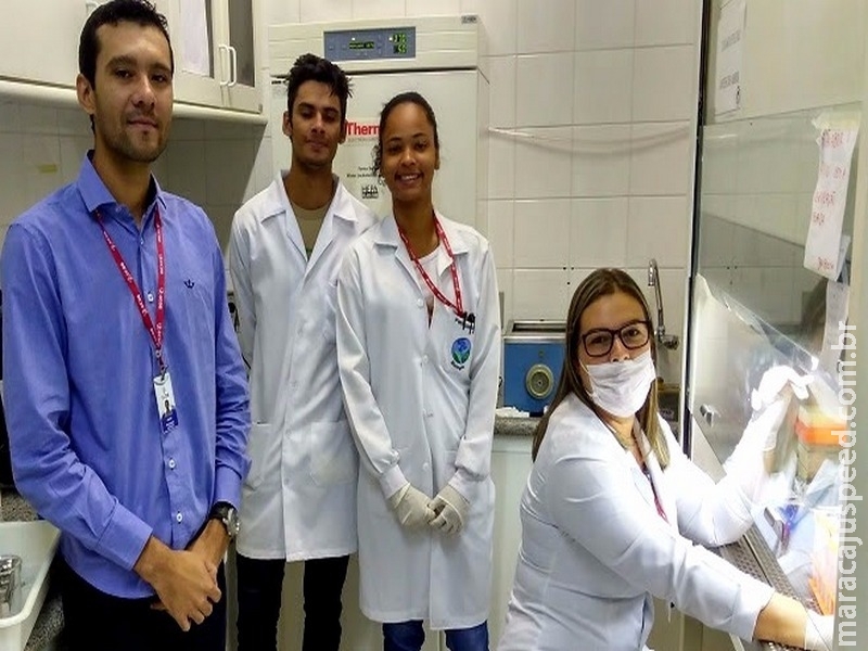 Pesquisa em MS busca o desenvolvimento de novos antibióticos Pesquisa em MS busca o desenvolvimento de novos antibióticos