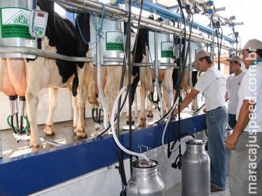Preço do leite pago ao produtor está melhor em 2017, avalia diretor da SNA Preço do leite pago ao produtor está melhor em 2017, avalia diretor da SNA