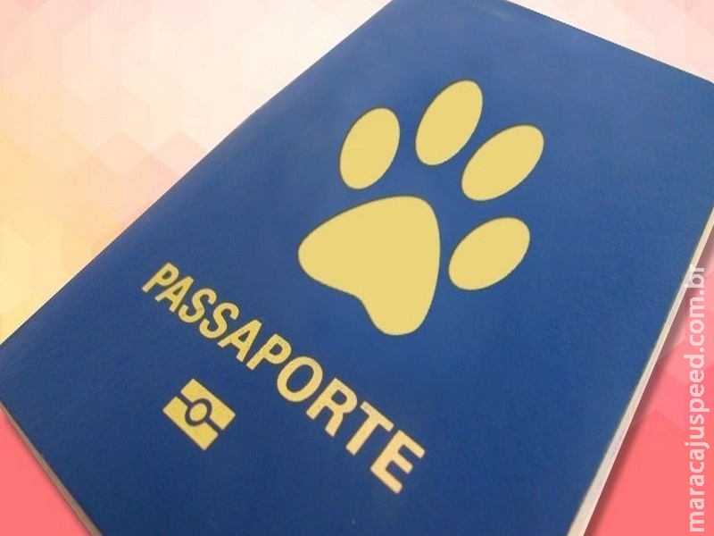Animal de estimação precisa de passaporte ou certificado veterinário para viagem internacional Animal de estimação precisa de passaporte ou certificado veterinário para viagem internacional