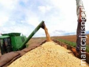 Balança comercial do agronegócio tem melhor resultado para junho desde 2014 Balança comercial do agronegócio tem melhor resultado para junho desde 2014