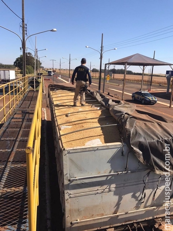 Carreta quebra e polícia encontra maconha em meio a carga de soja