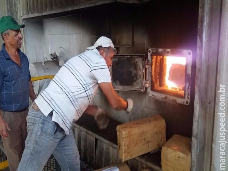 Droga incinerada e avaliada em R$ 80 milhões ia abastecer grandes Droga incinerada e avaliada em R$ 80 milhões ia abastecer grandes