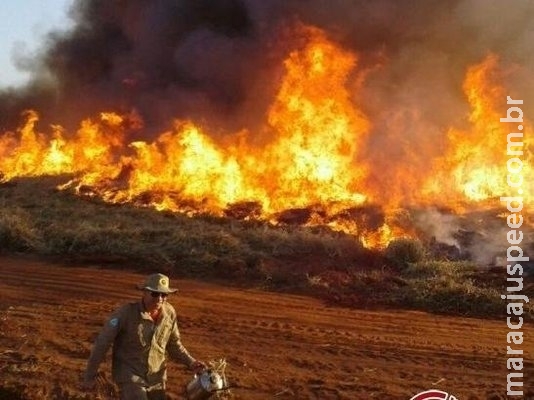 Incêndio consome 2 mil hectares de três fazendas na região sul de MS Incêndio consome 2 mil hectares de três fazendas na região sul de MS