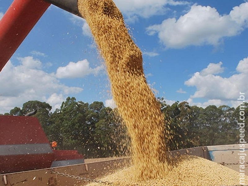 MS lidera ranking da produção de soja que cresce mais de 13% ao ano no Brasil
