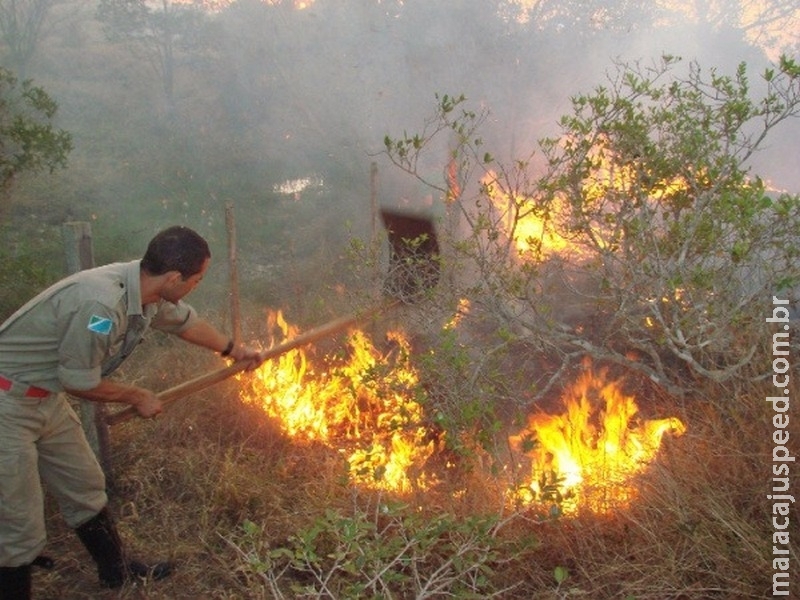 MS registra 998 focos de calor e Bombeiros alertam para período crítico de incêndios