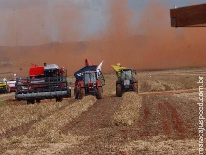 Novo levantamento da Conab aponta supersafra ainda maior este ano Novo levantamento da Conab aponta supersafra ainda maior este ano