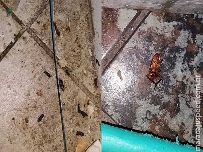 Padaria é interditada por ter rato, baratas e alimentos vencidos