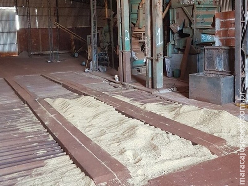 Polícia recupera carreta e carga de 51 toneladas de soja roubadas 