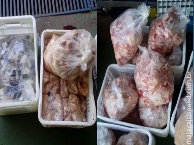 Procon apreende mais de 300 kg de carne imprópria para consumo Procon apreende mais de 300 kg de carne imprópria para consumo