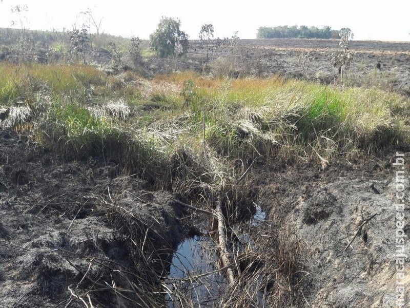 Usina leva multa de R$ 36 mil por incêndio em 7 hectares Usina leva multa de R$ 36 mil por incêndio em 7 hectares