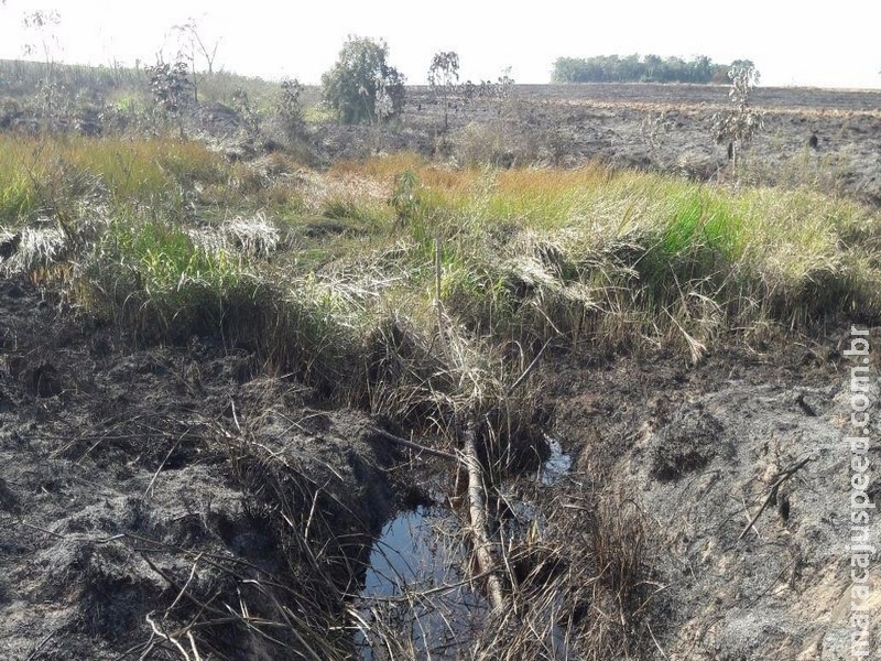 Usina leva multa de R$ 36 mil por incêndio em 7 hectares