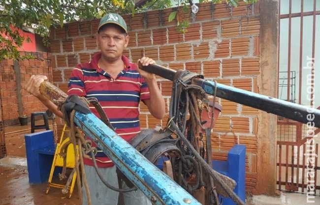 Cavalo some e suspeita é de que universitário o levou para ‘rolezinho’