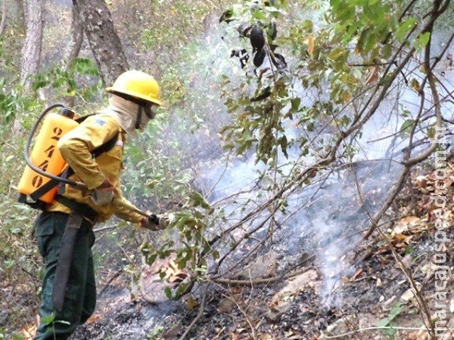 Chuva em agosto reduz número de incêndios na vegetação em MS Chuva em agosto reduz número de incêndios na vegetação em MS