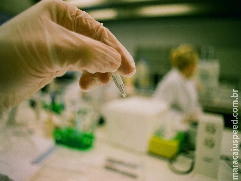 Fábricas e novas tecnologias podem ajudar a reduzir importação de biofármacos Fábricas e novas tecnologias podem ajudar a reduzir importação de biofármacos