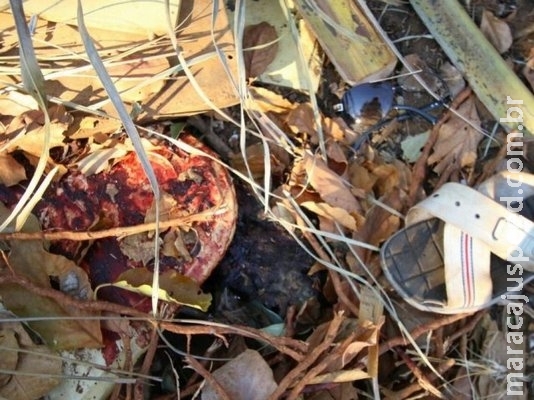 Jovem é morto em confronto com a polícia após roubar carro de luxo