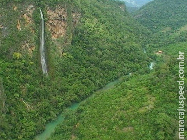 MS é o 8º estado com maiores índices de desmatamento da Mata Atlântica MS é o 8º estado com maiores índices de desmatamento da Mata Atlântica