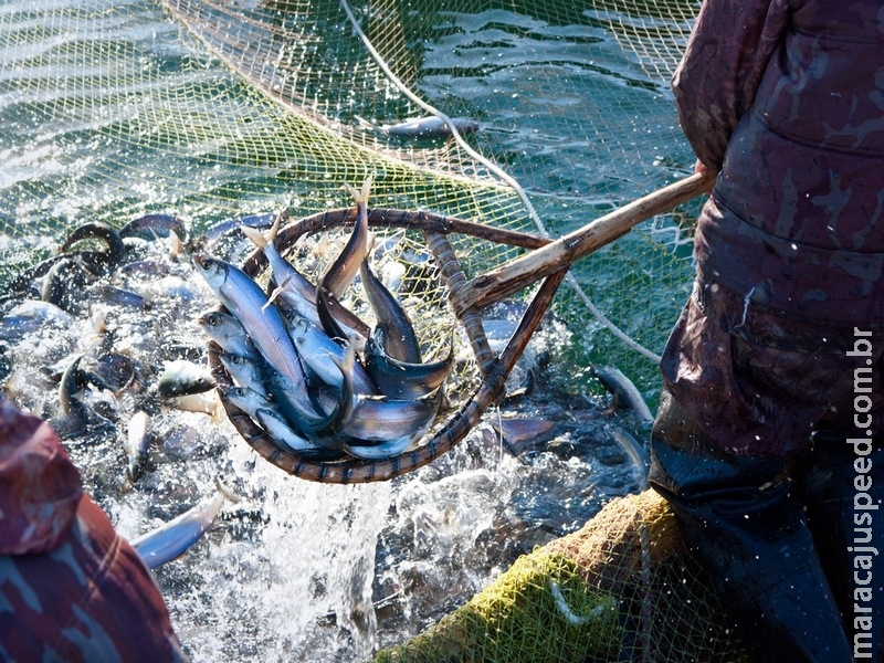 Navegação e pesca no Rio Salobra e Córrego Azul podem ser proibidas