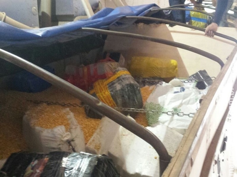  PF apreende 11 t de maconha em carreta carregada com milho e idoso de 74 anos é preso em MS