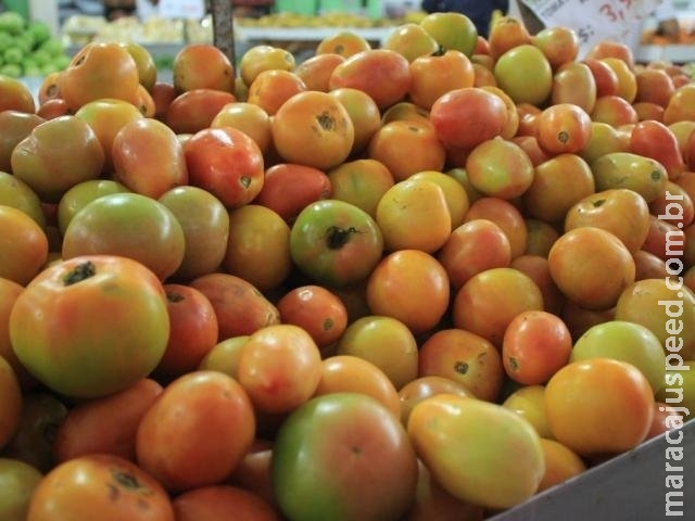 Preço do tomate cai 22% e quilo do produto sai por R$ 1,40 na Ceasa