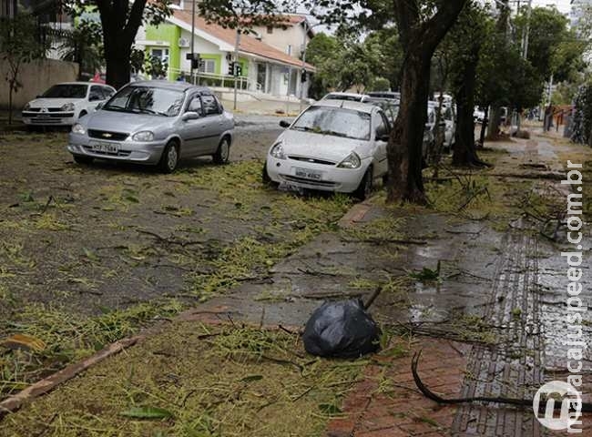 Temporal acompanhado de granizo causa danos em várias regiões da Capital Temporal acompanhado de granizo causa danos em várias regiões da Capital