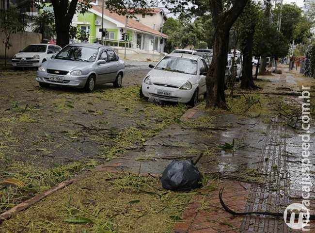 Temporal acompanhado de granizo causa danos em várias regiões da Capital