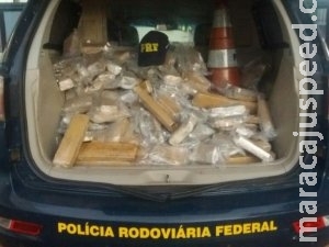 Traficante embala maconha a vácuo para disfarçar cheiro, mas acaba preso