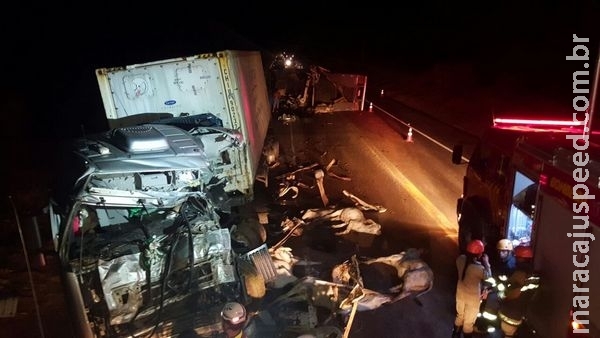 Acidente na BR-163 envolveu carreta de boiadeiro e caminhão e deixou um morto Acidente na BR-163 envolveu carreta de boiadeiro e caminhão e deixou um morto