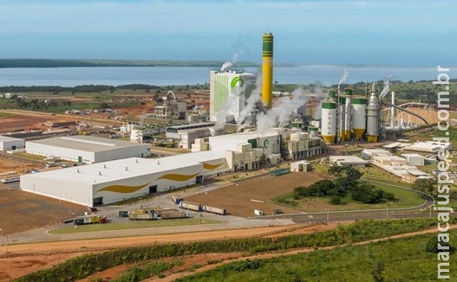 Eldorado Celulose é vendida para grupo Holandês por R$ 15 bilhões Eldorado Celulose é vendida para grupo Holandês por R$ 15 bilhões