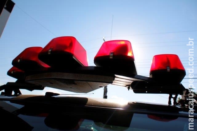 Embriagado, filho chega em casa e agride a mãe e espanca o cachorro