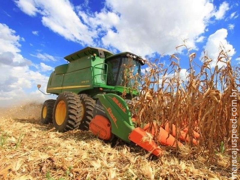 Exportação de milho em agosto é a maior para o mês em 20 anos