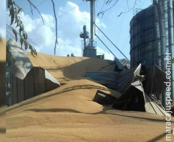 Filho presencia pai morrer soterrado após silo de milho estourar em fazenda Filho presencia pai morrer soterrado após silo de milho estourar em fazenda