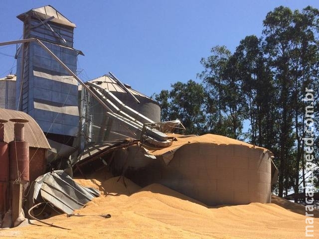 Filho presencia pai morrer soterrado após silo de milho estourar em fazenda