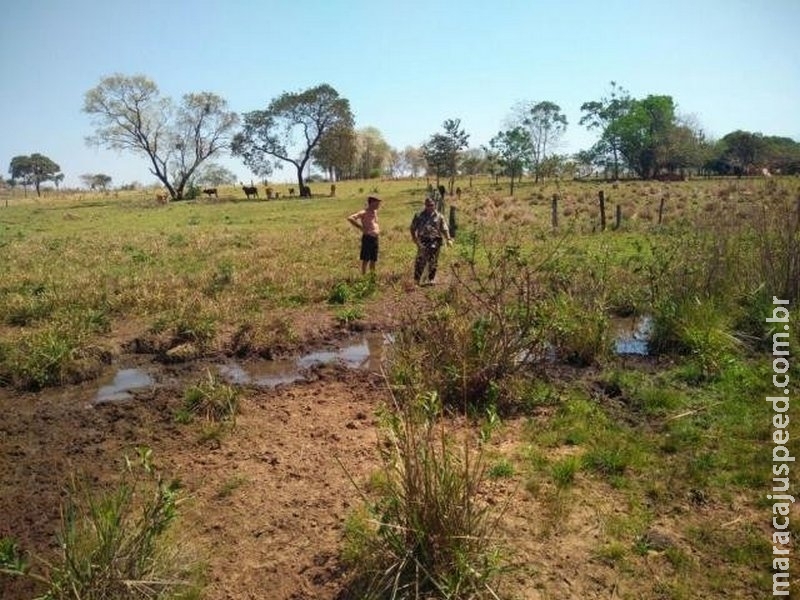 Idoso é multado em R$ 5 mil por degradar área protegida no próprio lote