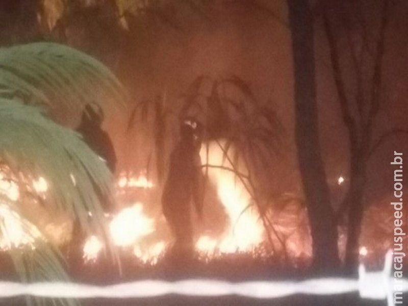 Incêndio em vegetação assusta moradores e mobiliza bombeiros Incêndio em vegetação assusta moradores e mobiliza bombeiros