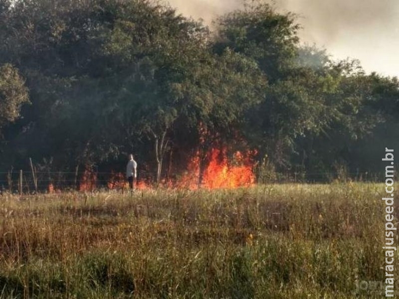 Ônibus colide em poste de energia e provoca incêndio em vegetação