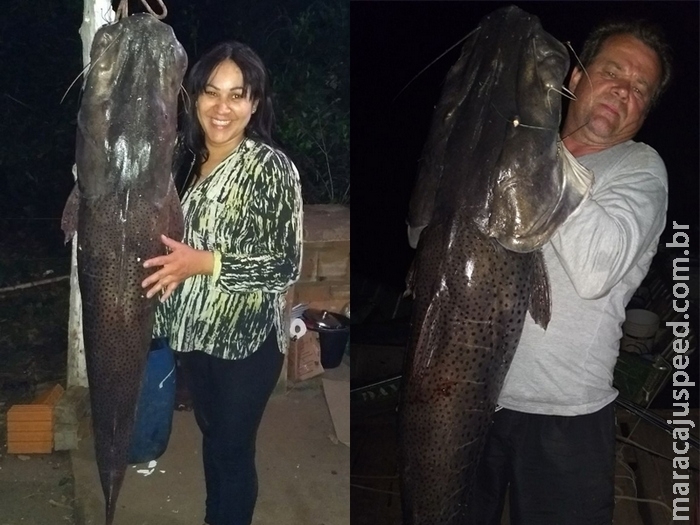 Pela primeira vez pescando, ela fisgou um pintado gigante em rio do Estado