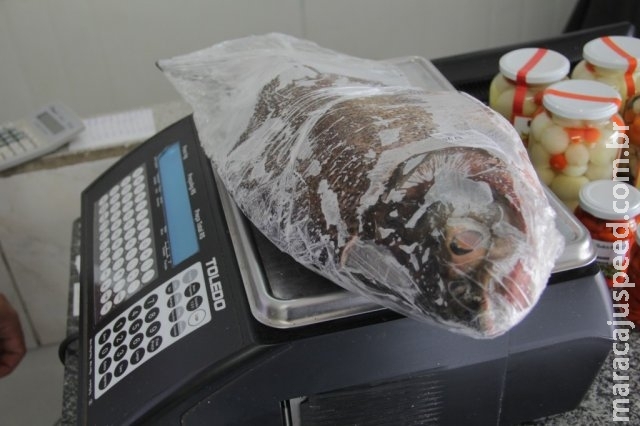 Por 15 dias, pescados terão 40% de desconto em mercados e restaurantes Por 15 dias, pescados terão 40% de desconto em mercados e restaurantes